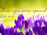 Sunday_Easter_3