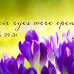 6th Sunday of Easter