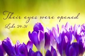 6th Sunday of Easter