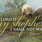 4th Sunday of Easter