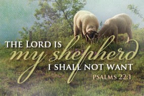 4th Sunday of Easter