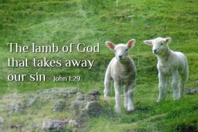 Lamb of God
