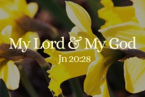 Sunday_02_cycleB_EASTER_1_496x331
