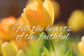 Pentecost Sunday 3