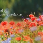 Sunday_15_cycleB_OT_1_496x331