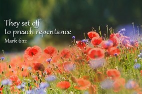 Sunday_15_cycleB_OT_1_496x331