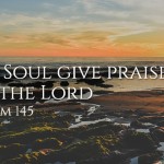 32 Sunday of Ordinary Time3