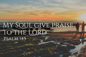 32 Sunday of Ordinary Time3