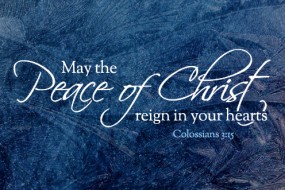 Christmas_2013_8_496-331