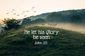 25th-sunday-of-the-year-2