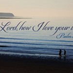 sunday_17_cyclea_ot_2_496x331