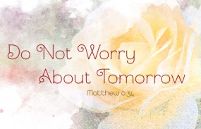 eighth-sunday-of-ordinary-time2