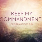 sixth-sunday-of-ordinary-time2