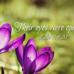 5th-sunday-of-easter