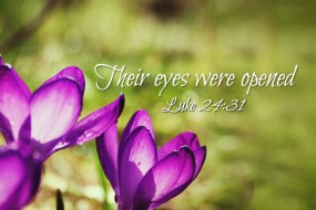 5th-sunday-of-easter