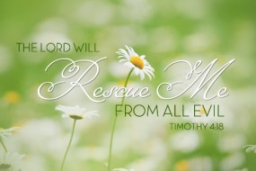 twelfth-sunday-in-ordinary-time-2