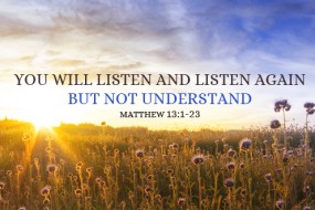 fifteenth-sunday-in-ordinary-time-1