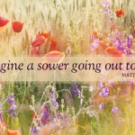 fifteenth-sunday-in-ordinary-time-2