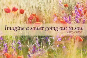 fifteenth-sunday-in-ordinary-time-2