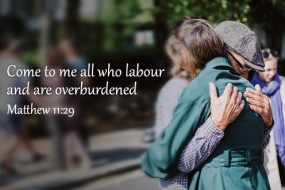 thirty-first-sunday-of-the-year1