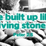 thirty-second-sunday-in-ordinary-time1