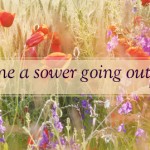 sunday_15_cyclea_ot_2_630x269