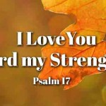 31st-sunday-of-the-year2