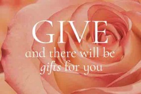 7th-sunday-of-ordinary-time3