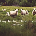 3rd-sunday-of-easter-2