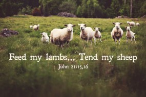 3rd-sunday-of-easter-2