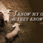 4th-sunday-of-easter2