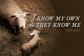 4th-sunday-of-easter2