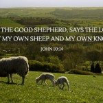 4th-sunday-of-easter3