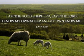 4th-sunday-of-easter3