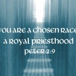 5th-sunday-of-easter1