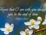 7th-sunday-of-easter