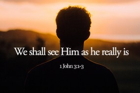 all_saints-1st-november-2020-2