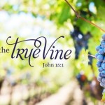 5th-sunday-of-easter