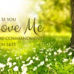 6th-sunday-of-easter1