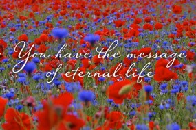 sunday_21_cycleb_ot_1_496x331