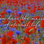 sunday_21_cycleb_ot_1_496x331