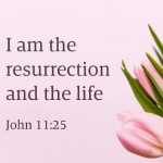 easter_sunday_c_2_496x330