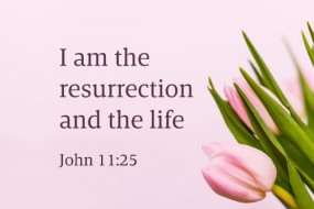 easter_sunday_c_2_496x330