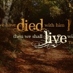 28th-sunday-of-the-year