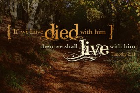 28th-sunday-of-the-year