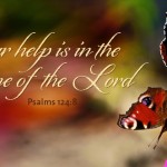 29th-sunday-of-the-year