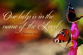 29th-sunday-of-the-year