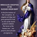 feast-of-immaculate-conception