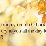 22nd-sunday-of-the-year