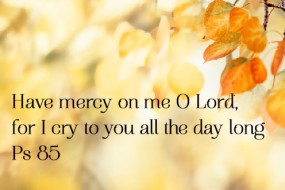 22nd-sunday-of-the-year